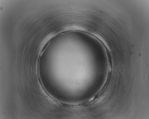 X0000070880815200606231341