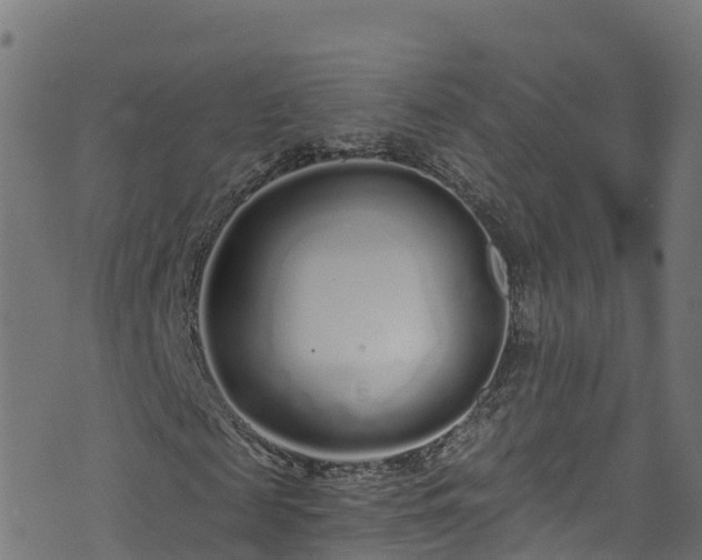 X0000070880817200606231340