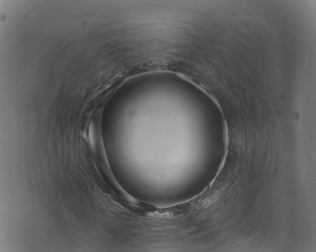 X0000070880818200606231340