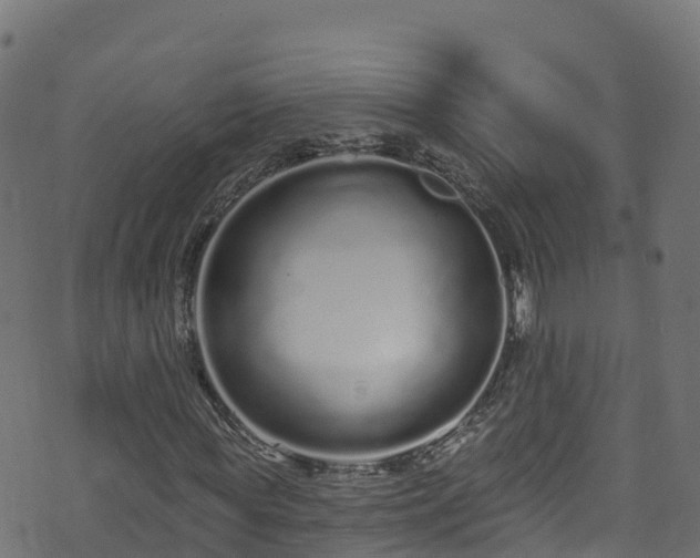 X0000070880819200606231340