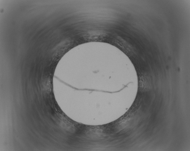 X0000070880820200606231340