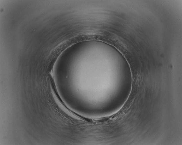 X0000070880821200606231340