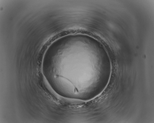 X0000070880823200606231340