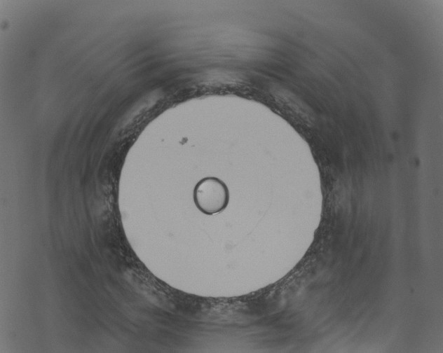 X0000070880824200606231340