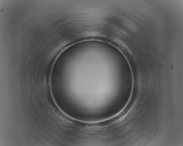 X0000070880825200606231340