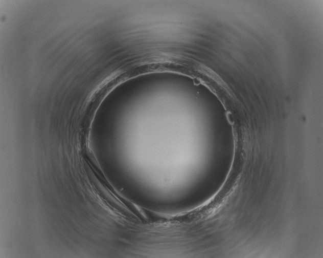 X0000070880826200606231340