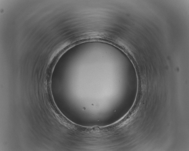 X0000070880827200606231340