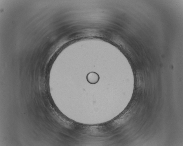 X0000070880828200606231340