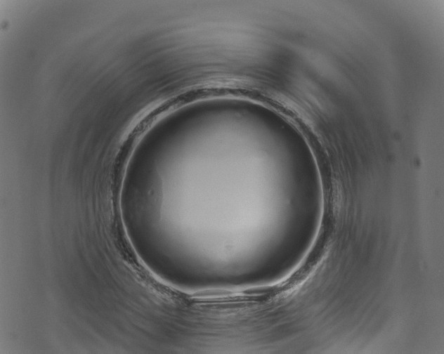 X0000070880829200606231340