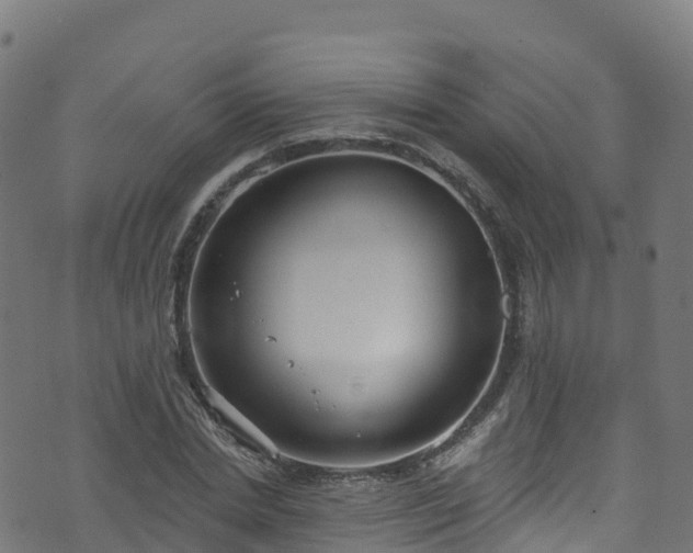 X0000070880830200606231340