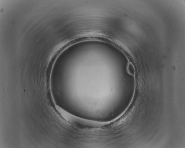 X0000070880831200606231340