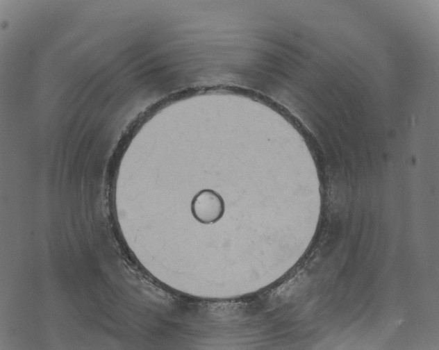 X0000070880832200606231340