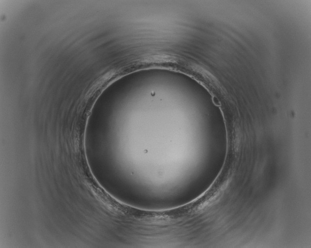 X0000070880833200606231341