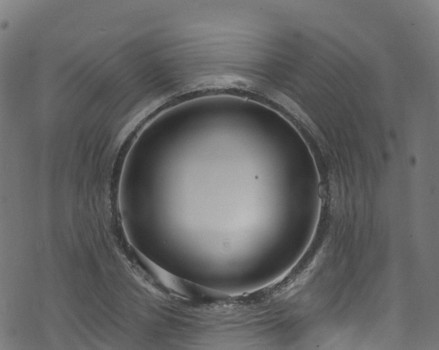 X0000070880834200606231341