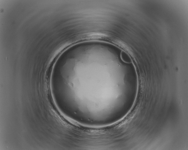 X0000070880835200606231341