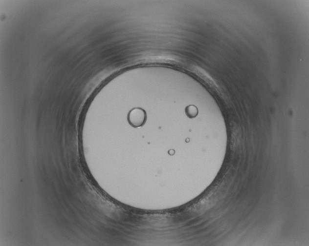 X0000070880836200606231341