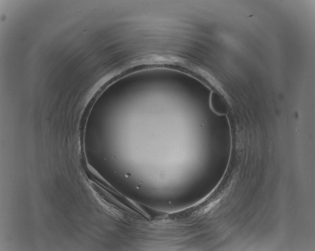 X0000070880837200606231341