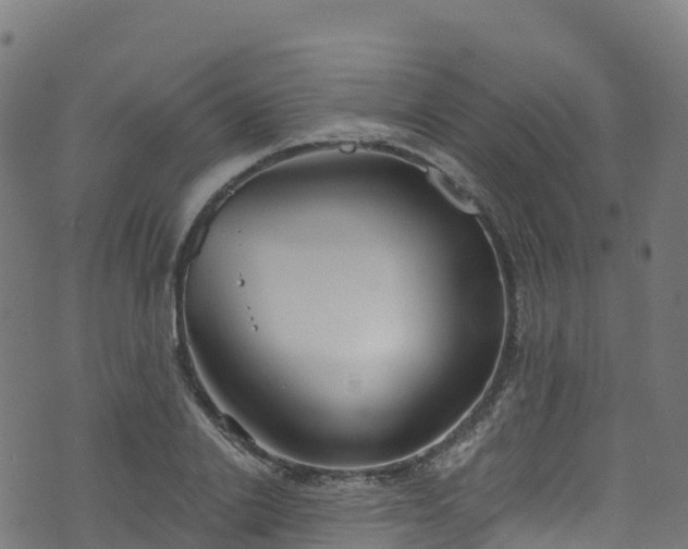 X0000070880838200606231341