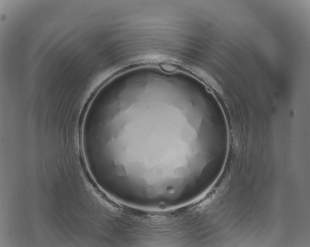 X0000070880839200606231341