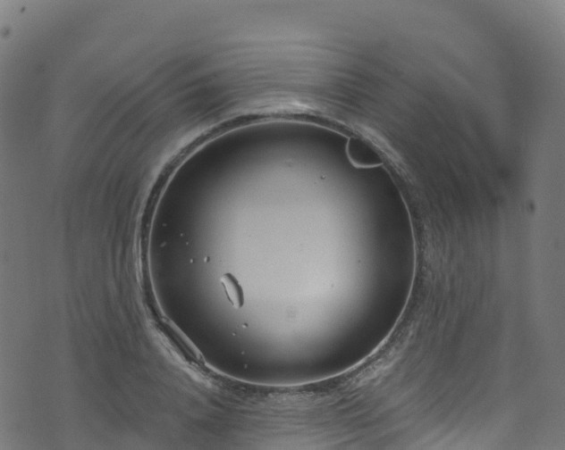 X0000070880840200606231341