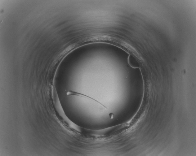 X0000070880841200606231341