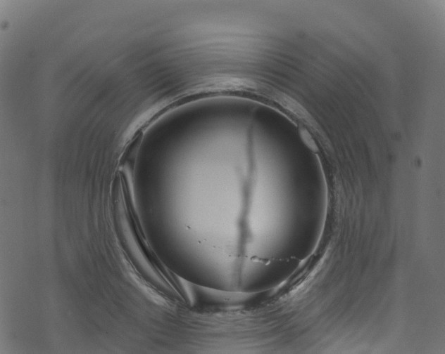 X0000070880842200606231341