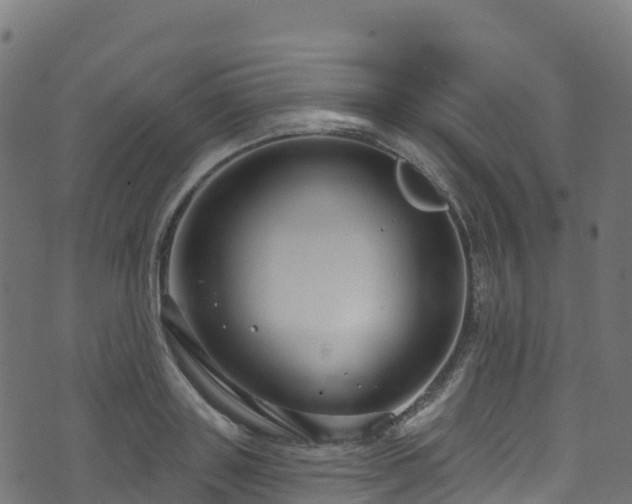 X0000070880843200606231341