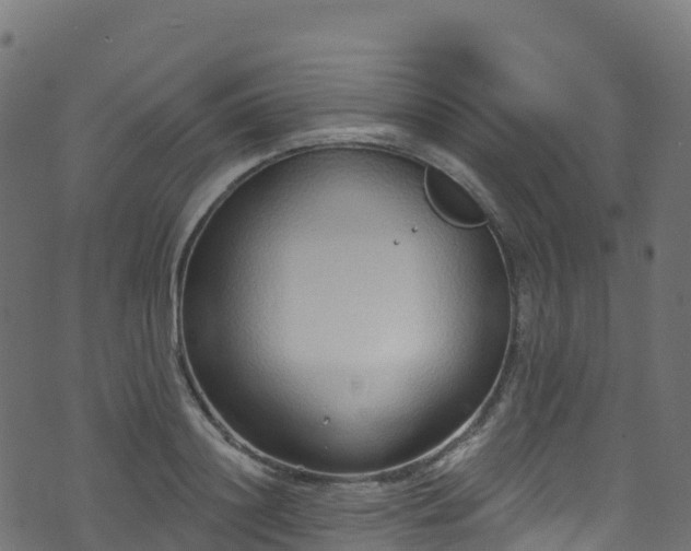 X0000070880844200606231341