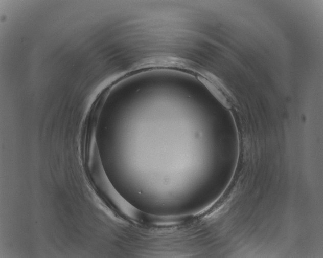 X0000070880846200606231341