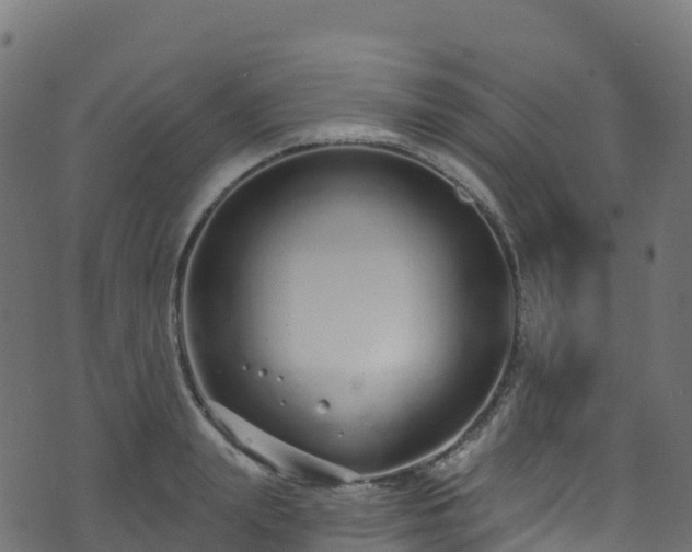 X0000070880847200606231341