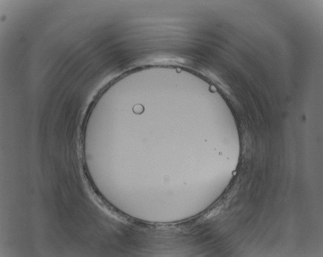 X0000070880848200606231341