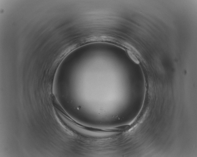 X0000070880849200606231341