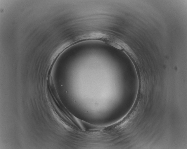 X0000070880850200606231341