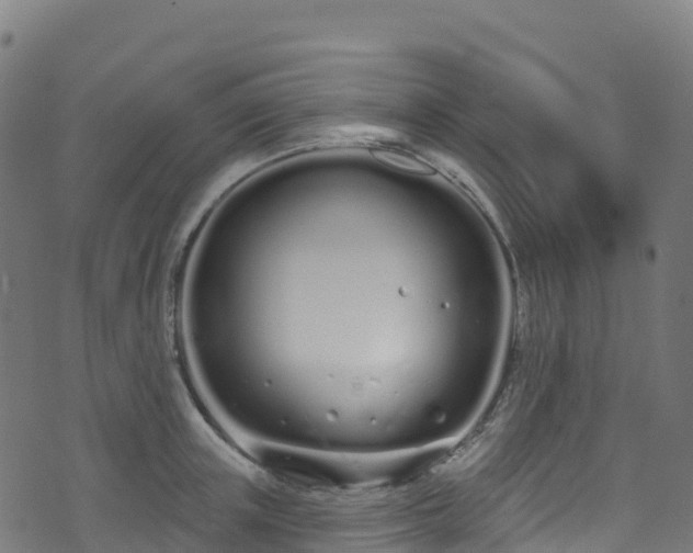 X0000070880851200606231341