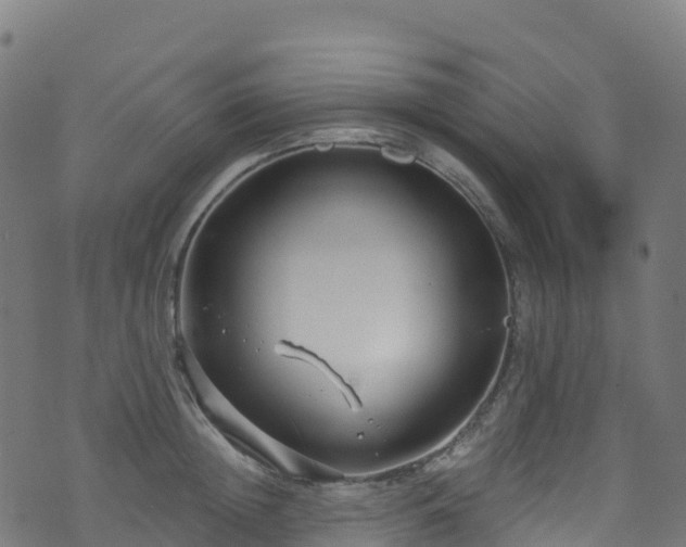 X0000070880852200606231341