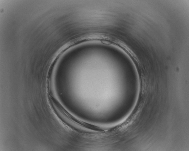 X0000070880853200606231341