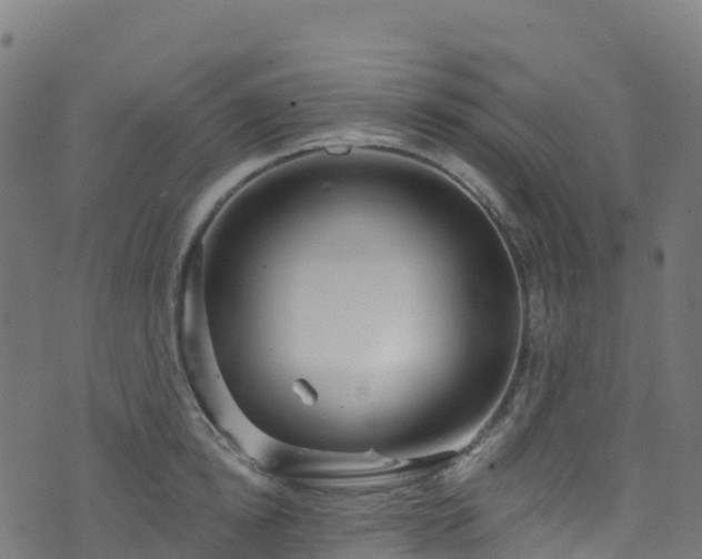 X0000070880854200606231341