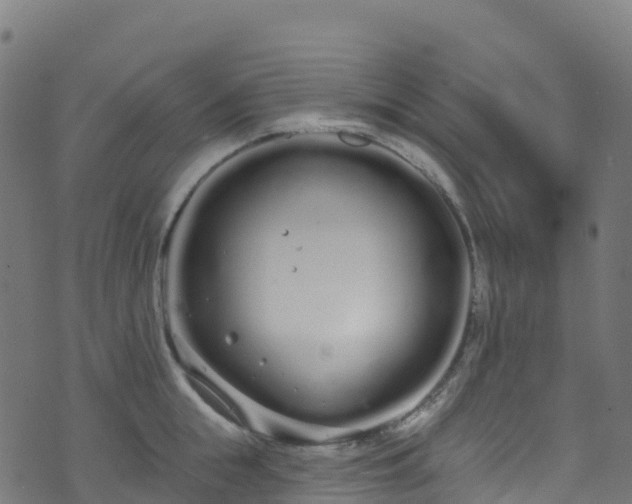 X0000070880855200606231341