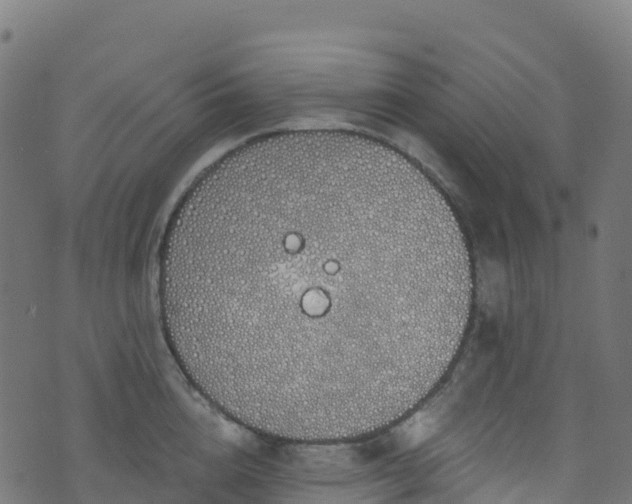 X0000070880856200606231341