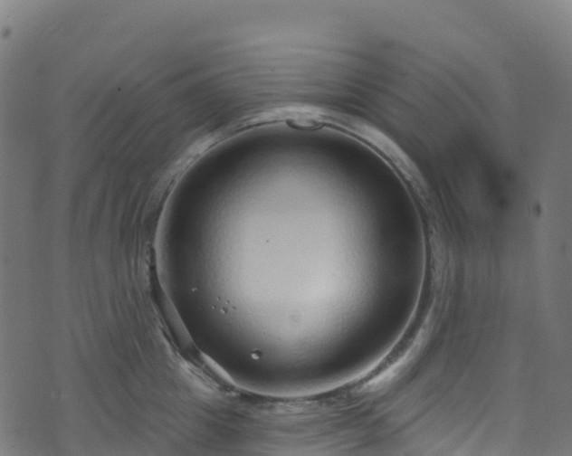 X0000070880857200606231341