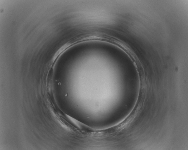 X0000070880858200606231341