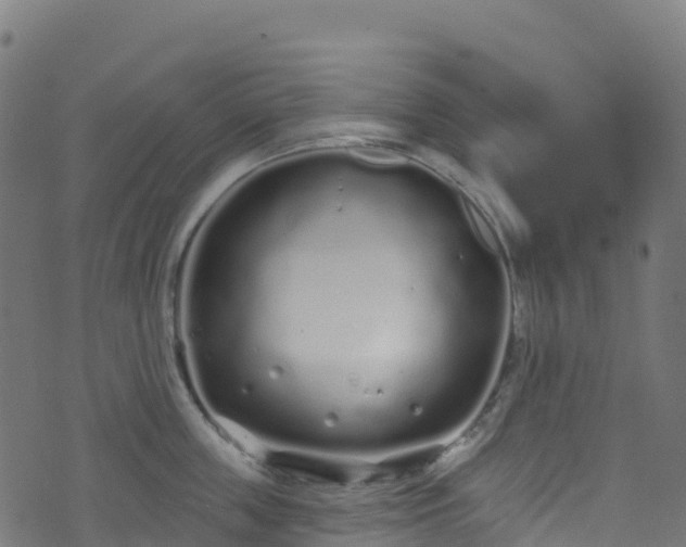 X0000070880859200606231341