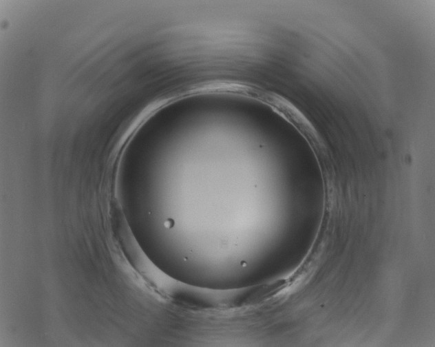 X0000070880860200606231341