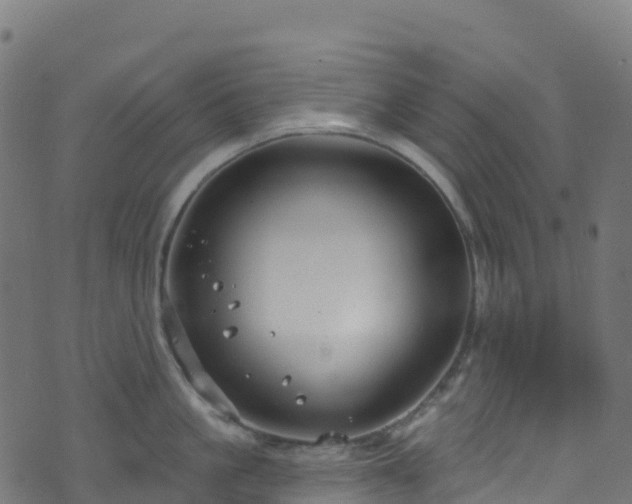 X0000070880861200606231341