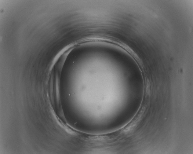 X0000070880862200606231341