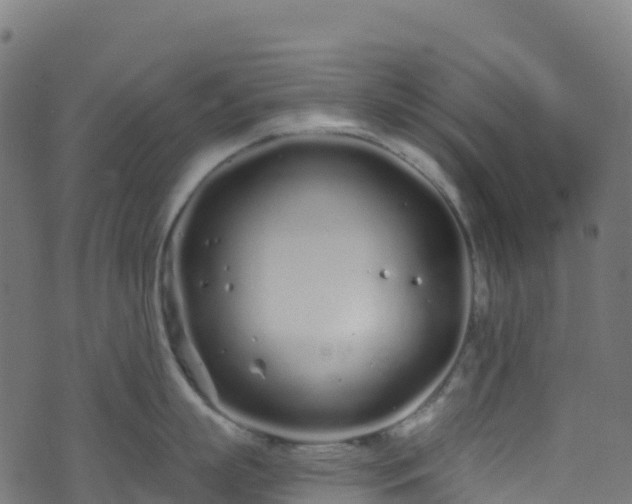 X0000070880863200606231341