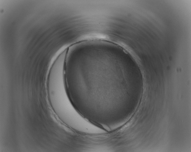 X0000070880864200606231341