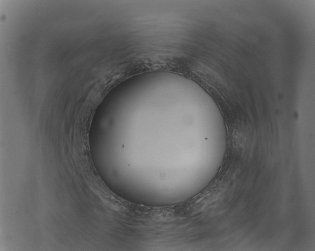 X0000070880865200606231340