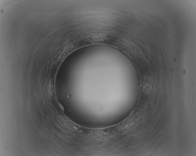 X0000070880866200606231340