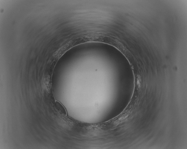 X0000070880867200606231340